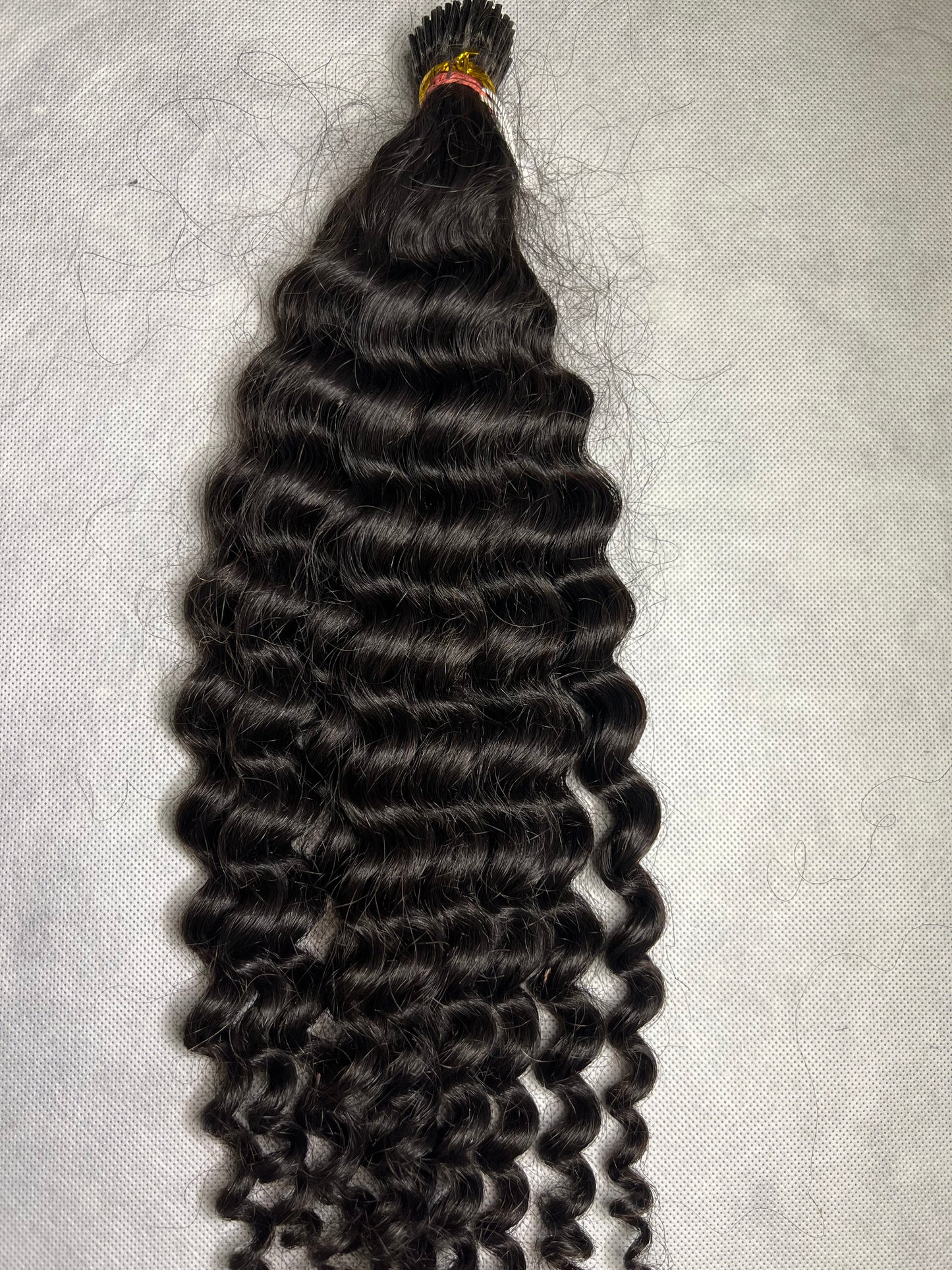 Burmese Curly I-Tips
